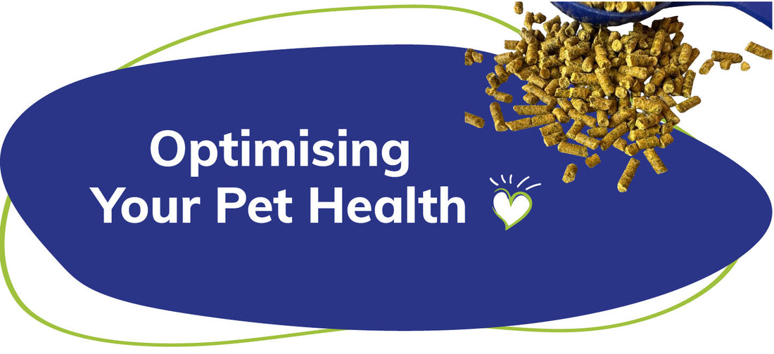 Lillidale - Optimising Your Pet Health with ProJoint and ProHealth