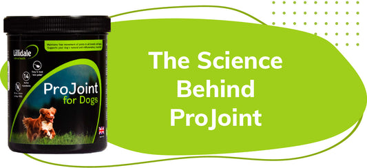 Lillidale - The Science Behind ProJoint