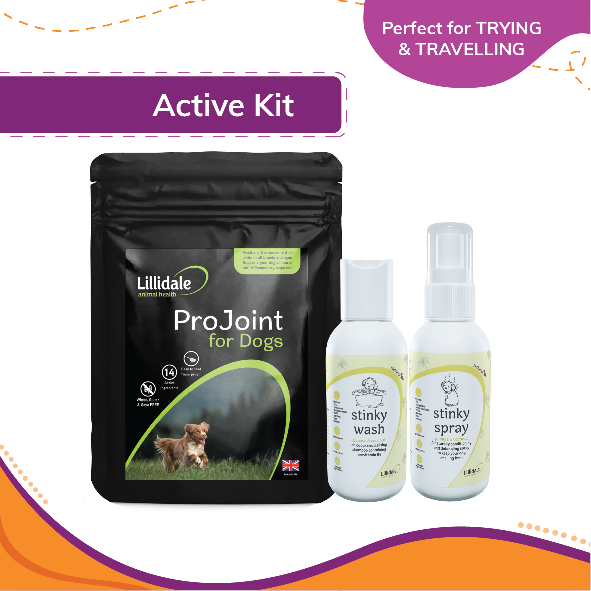 Lillidale Kohepets Active Kit