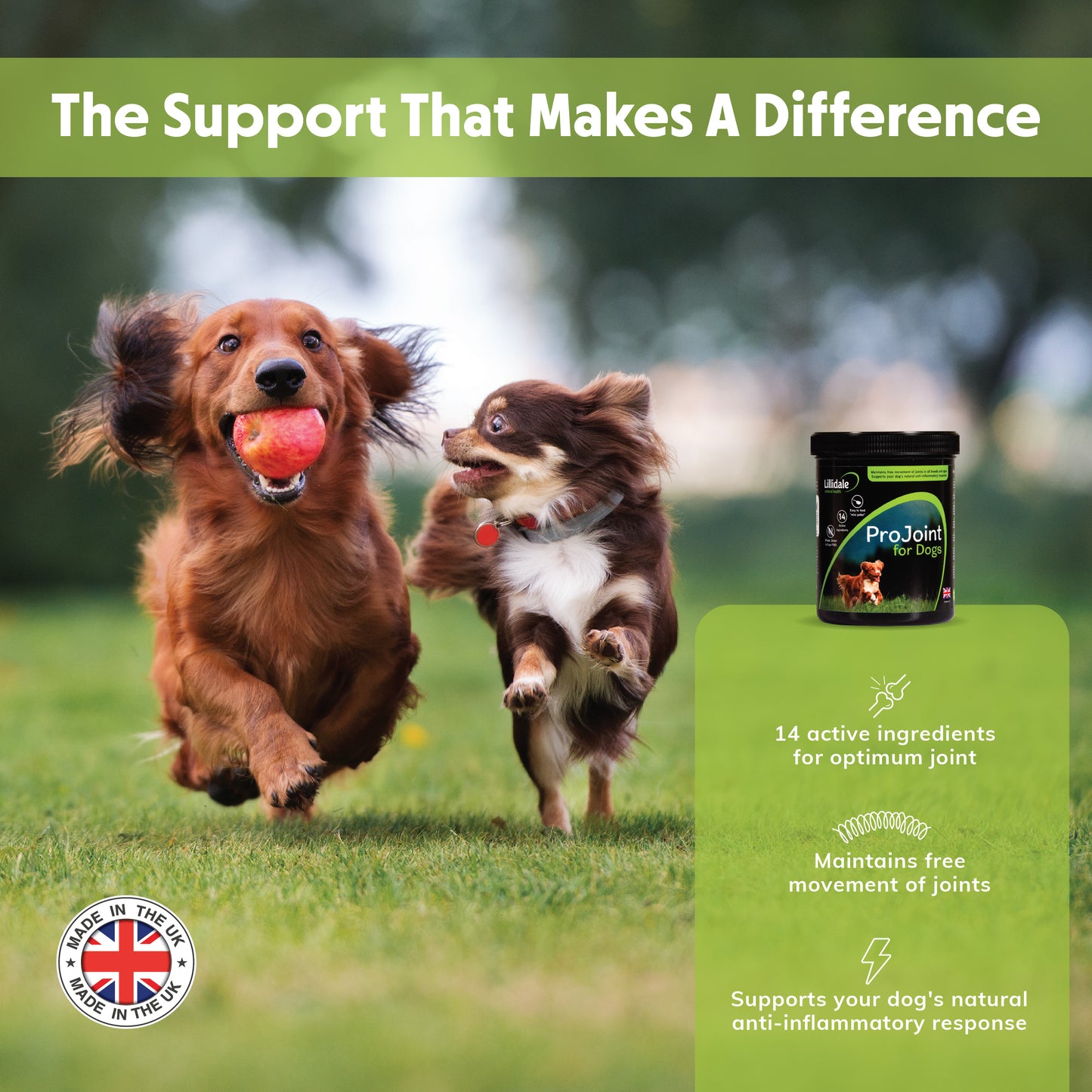 Lillidale ProJoint for Dogs