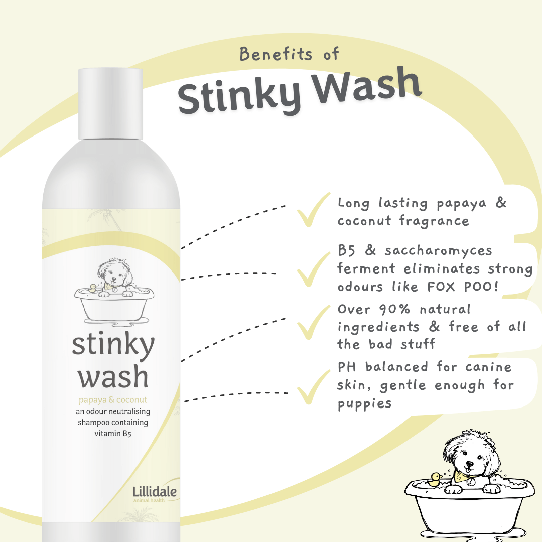 Benefits of Lillidale Stinky Wash for Dogs